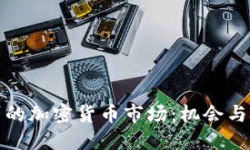 德州的加密货币市场：机会与挑战