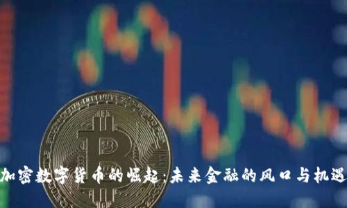 加密数字货币的崛起：未来金融的风口与机遇