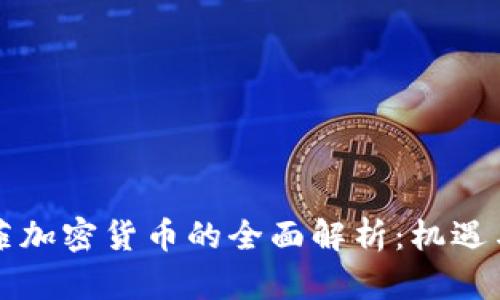 麦克菲加密货币的全面解析：机遇与挑战