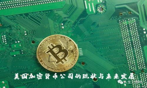 美国加密货币公司的现状与未来发展