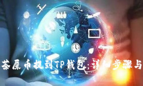 如何将抹茶屎币提到TP钱包：详细步骤与注意事项