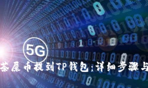如何将抹茶屎币提到TP钱包：详细步骤与注意事项
