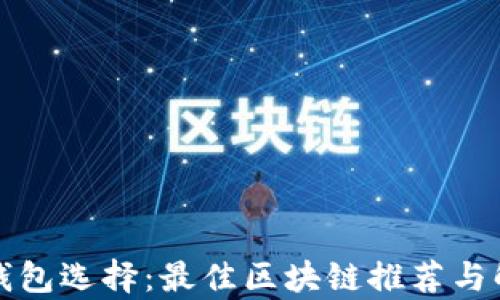 
TP钱包选择：最佳区块链推荐与解析