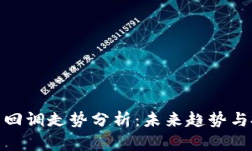 加密货币回调走势分析：未来趋势与投资策略