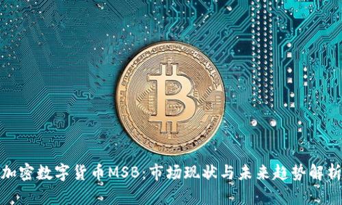 加密数字货币MSB：市场现状与未来趋势解析