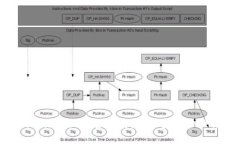 TokenPocket助记词设置全指南