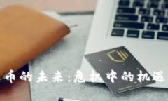 加密货币的未来：危机中