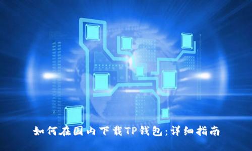 如何在国内下载TP钱包：详细指南