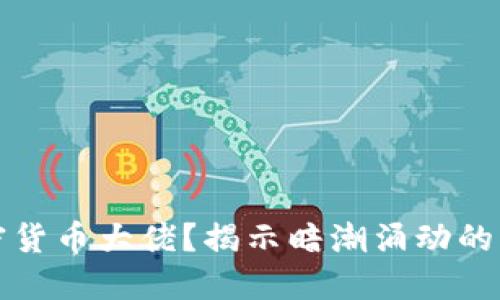 谁在谋杀加密货币大佬？揭示暗潮涌动的虚拟货币世界
