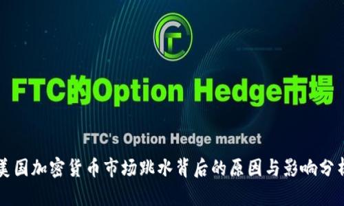 美国加密货币市场跳水背后的原因与影响分析