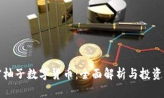 加密柚子数字货币：全面