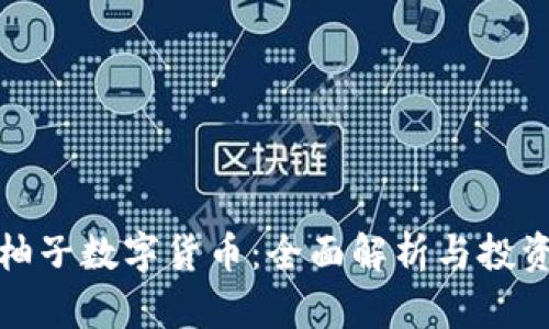 加密柚子数字货币：全面解析与投资前景