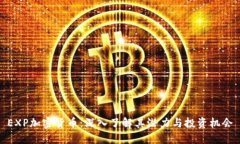 EXP加密货币：深入了解其