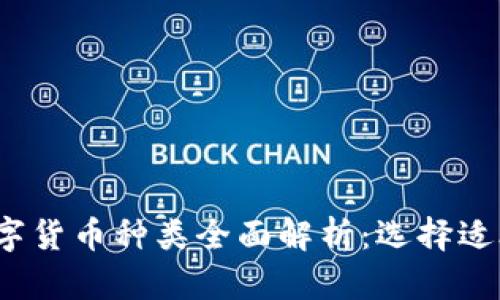 2023年加密数字货币种类全面解析：选择适合你的数字资产
