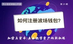 加密鱼货币：未来数字资