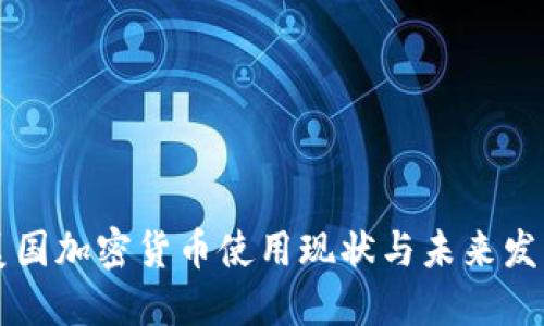 美国加密货币使用现状与未来发展