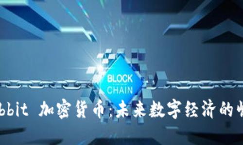 Webbit 加密货币：未来数字经济的崛起