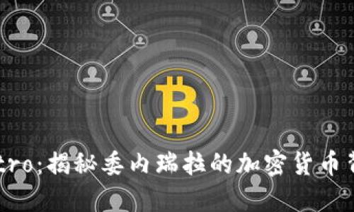 Petro：揭秘委内瑞拉的加密货币背后