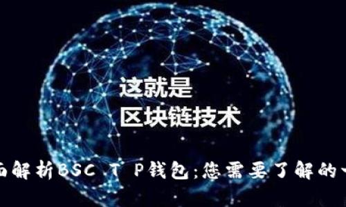 全面解析BSC T P钱包：您需要了解的一切
