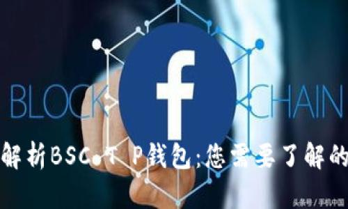 全面解析BSC T P钱包：您需要了解的一切
