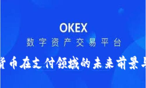 加密货币在支付领域的未来前景与挑战