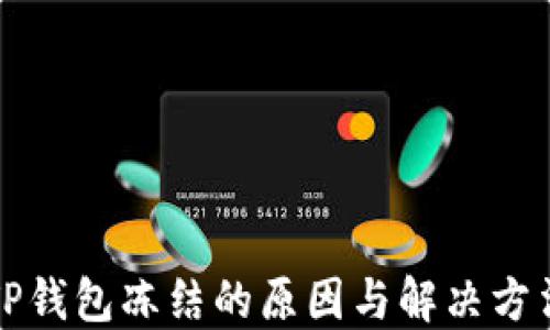 
TP钱包冻结的原因与解决方法