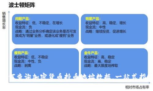 如何查询加密货币持币地址数据，一站式指南