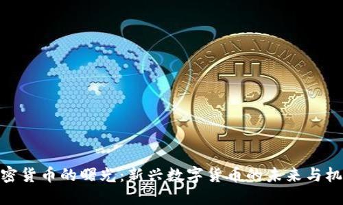 加密货币的曙光：新兴数字货币的未来与机遇