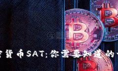 加密货币SAT：你需要知道