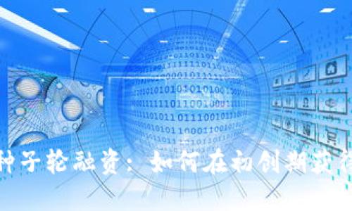 加密货币种子轮融资: 如何在初创期获得资金支持