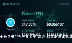 全面了解CCN加密货币：潜
