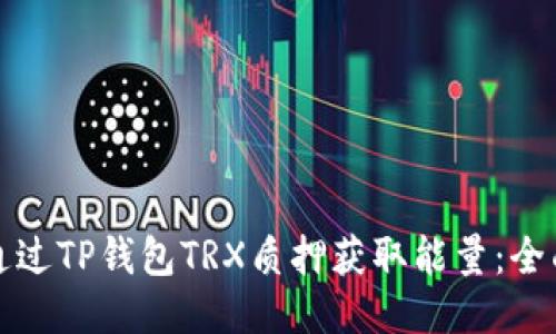 如何通过TP钱包TRX质押获取能量：全面指南