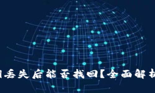  TP钱包密钥丢失后能否找回？全面解析与应对策略