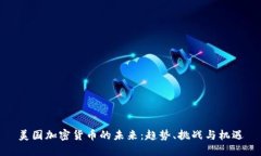 美国加密货币的未来：趋