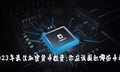 2023年最佳加密货币投资：你应该囤积哪些币种？