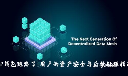 TP钱包跑路了：用户的资产安全与后续处理指南