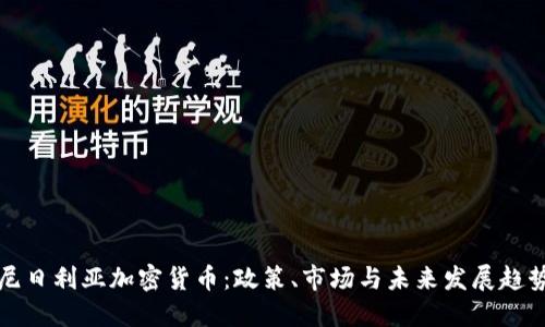 尼日利亚加密货币：政策、市场与未来发展趋势