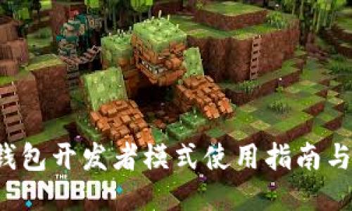 T P钱包开发者模式使用指南与技巧