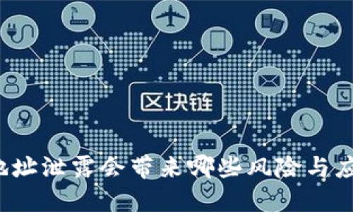 TP钱包地址泄露会带来哪些风险与应对措施？