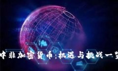 中非加密货币：机遇与挑