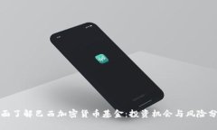 全面了解巴西加密货币基