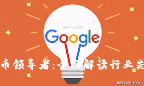 土耳其加密货币领导者：全面解读行业先锋与市场动态