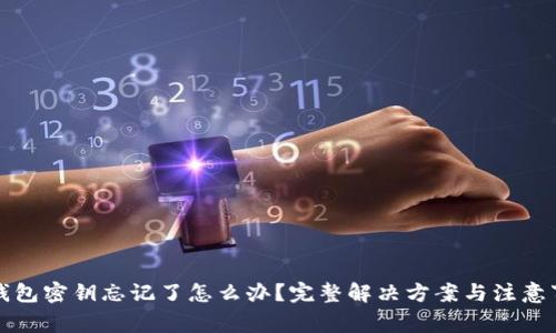 TP钱包密钥忘记了怎么办？完整解决方案与注意事项