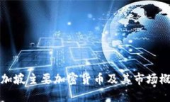 新加坡主要加密货币及其
