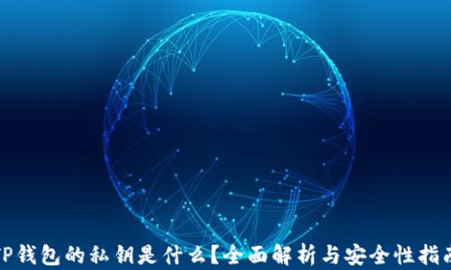 
TP钱包的私钥是什么？全面解析与安全性指南