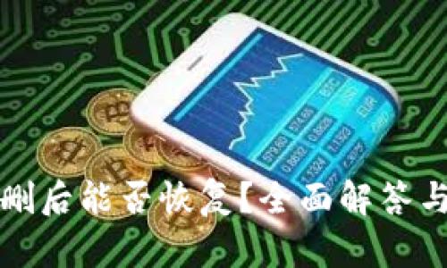 TP钱包误删后能否恢复？全面解答与解决方案