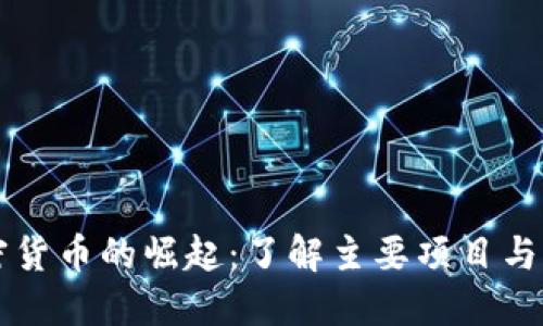 中国加密货币的崛起：了解主要项目与市场动态