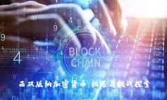 西双版纳加密货币：机遇