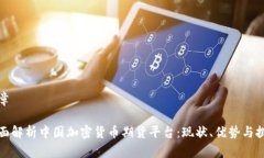 文章全面解析中国加密货