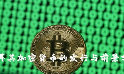 土耳其加密货币的发行与前景分析